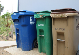 A blue recycle cart, a green greenwaste cart, and a brown trash cart all along the side of a building.