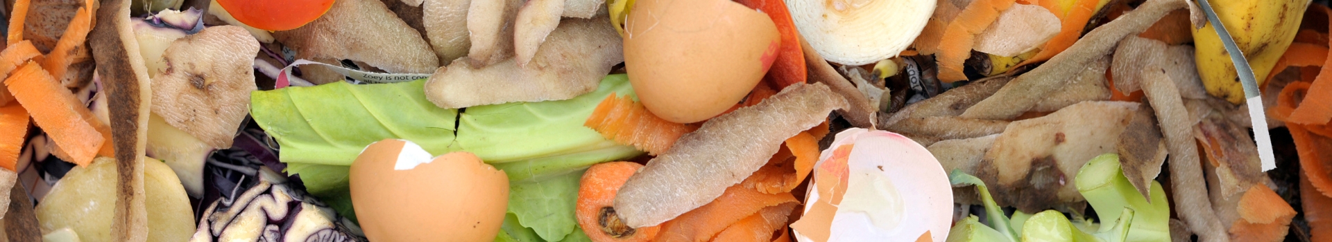 Zoomed in pile of foodscraps or food waste including eggshells, banana peels, and potato skins.