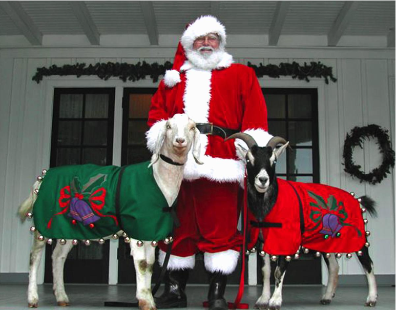 Stow House Holiday at the Ranch_ Santa and Goats