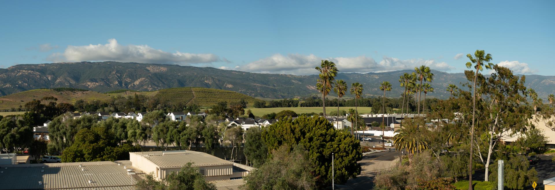 Rooftop view of Goleta from the Hilton with trees and buildings