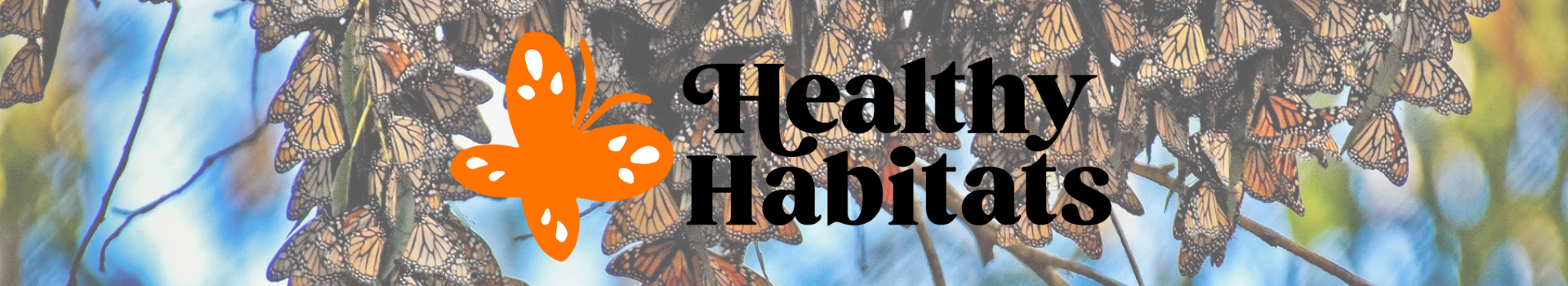 Healthy Habitats with Monarch Butterflies