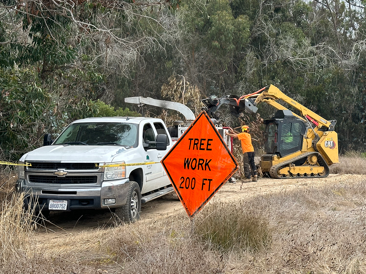 Tree Work Sign in Ellwood Mesa