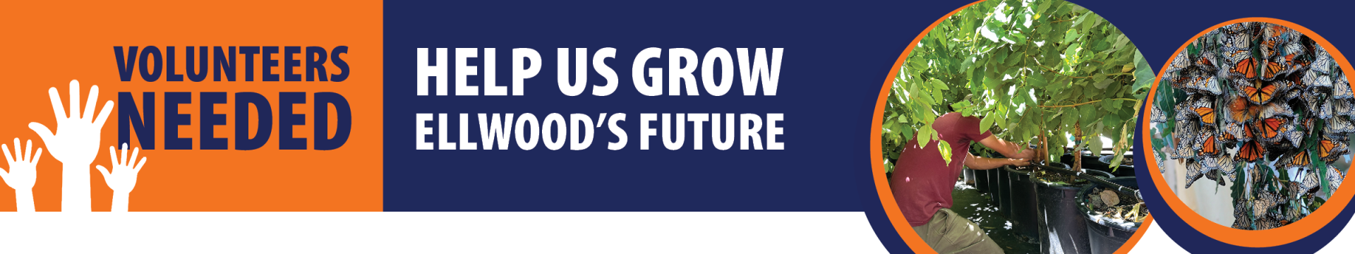 Help Grow Ellwood's Future