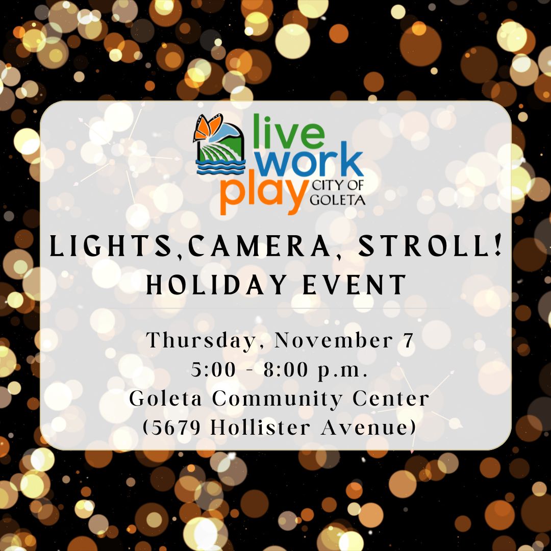 Lights, Camera, Stroll Holiday Event Nov. 7, 2024