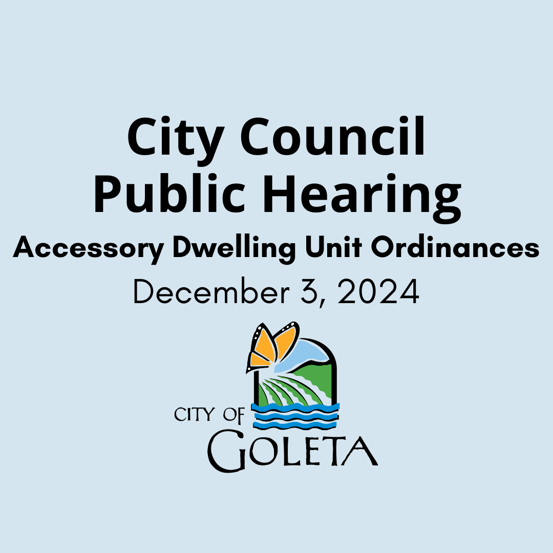 City Council Public Hearing 12/03