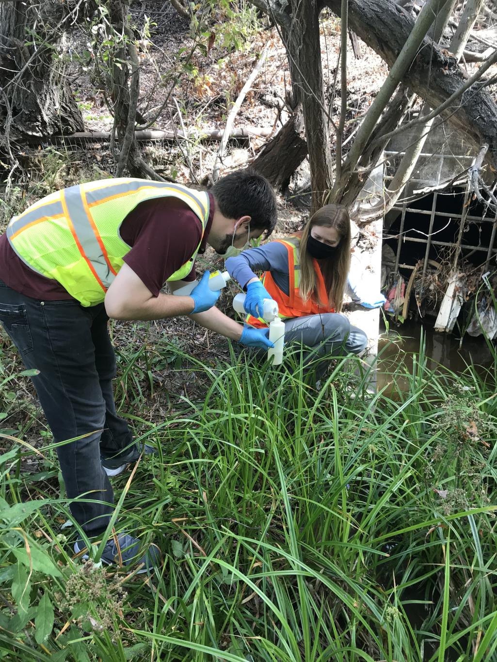 Water Quality Sampling