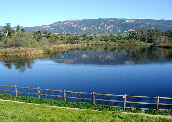 Lake Los Carneros